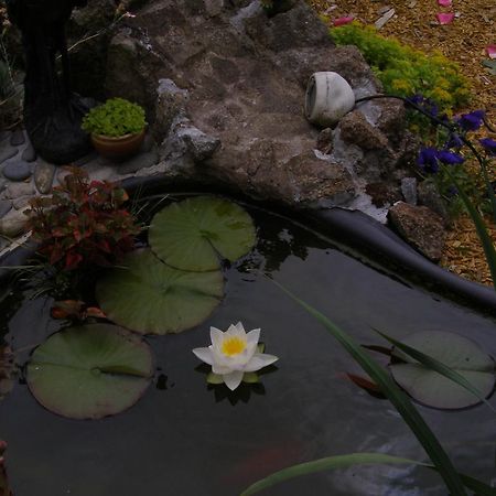 Au Jardin D'Eden Hotel Poilley  Kültér fotó