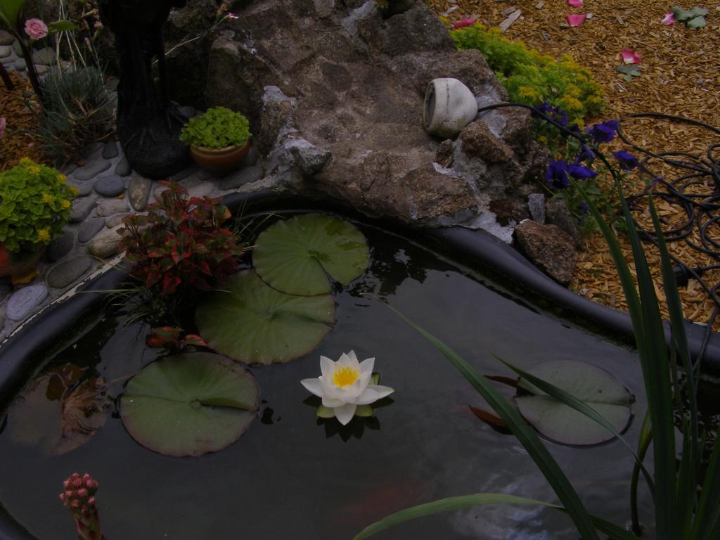 Au Jardin D'Eden Hotel Poilley  Kültér fotó